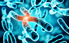 染色体异常基因检测