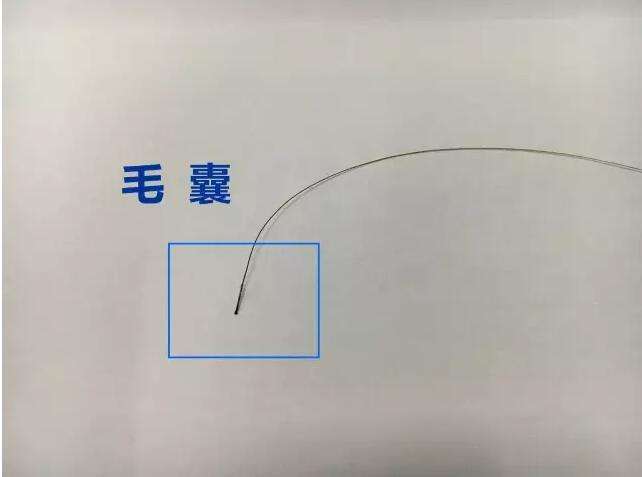 隐私鉴定10.jpg