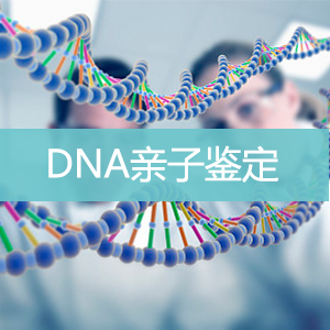 DNA亲子鉴定